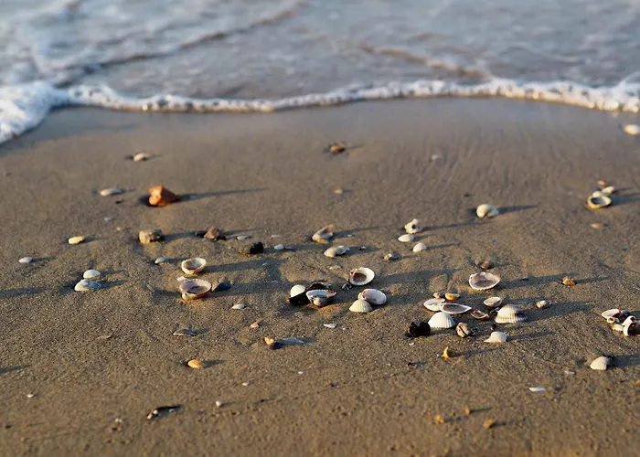 Charming Flat With Swimming Pool Appartamento Bibione