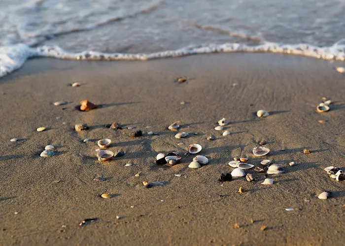 Charming Flat With Swimming Pool *